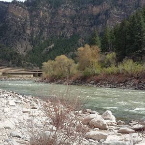 Meet your Posher, Brenda